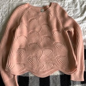 Pink Sweater